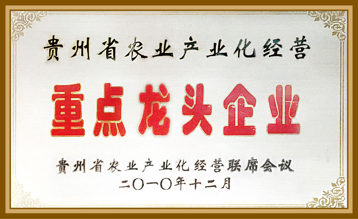 貴州省農(nóng)業(yè)產(chǎn)業(yè)化經(jīng)營重點(diǎn)企業(yè)2010.12